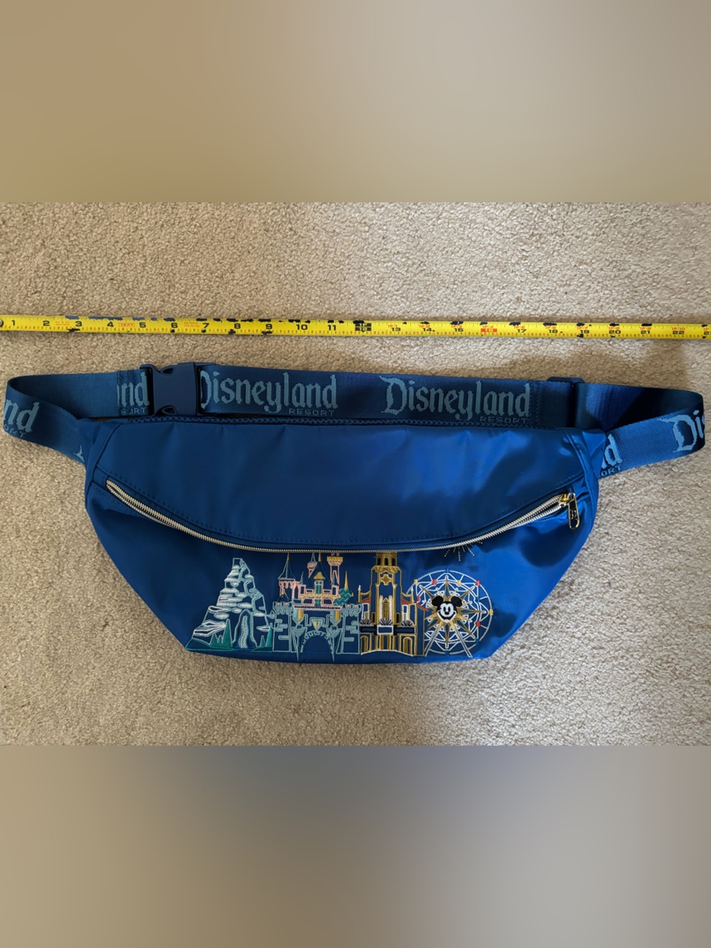 New, never used, Disneyland Oversized Belt Bag